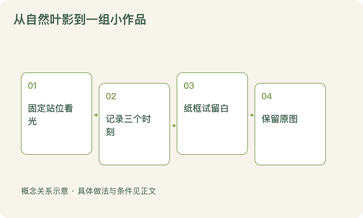从自然叶影到一组小作品：固定站位看光；记录三个时刻；纸框试留白；保留原图