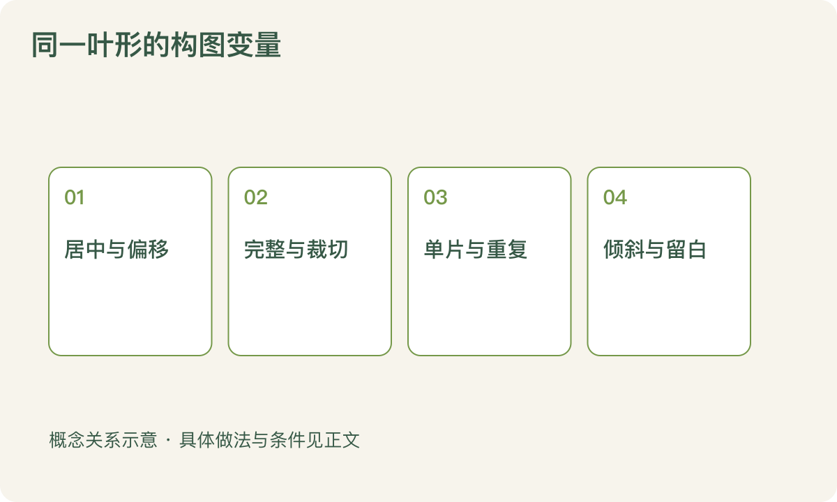 同一叶形的构图变量：居中与偏移；完整与裁切；单片与重复；倾斜与留白