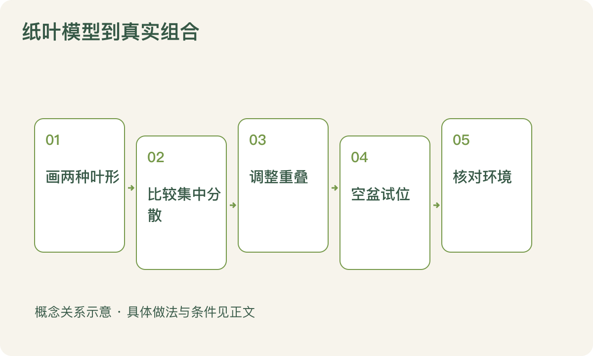 纸叶模型到真实组合：画两种叶形；比较集中分散；调整重叠；空盆试位；核对环境