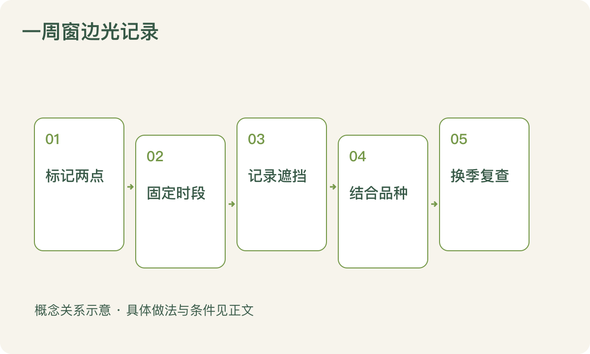 一周窗边光记录：标记两点；固定时段；记录遮挡；结合品种；换季复查