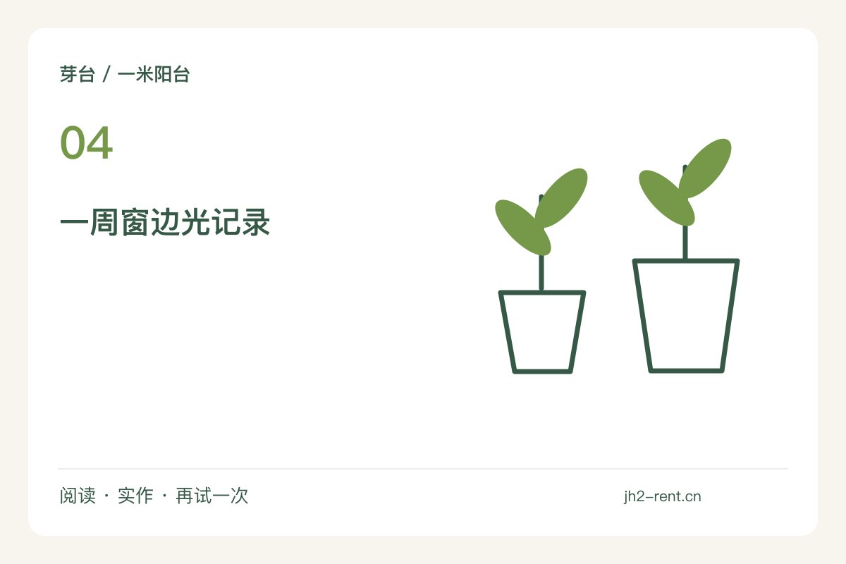 先看一周窗边光，再决定花盆的固定位置主题图解